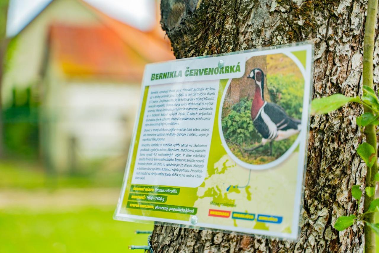 Farma Zelena Ruza Villa Klacno Ngoại thất bức ảnh