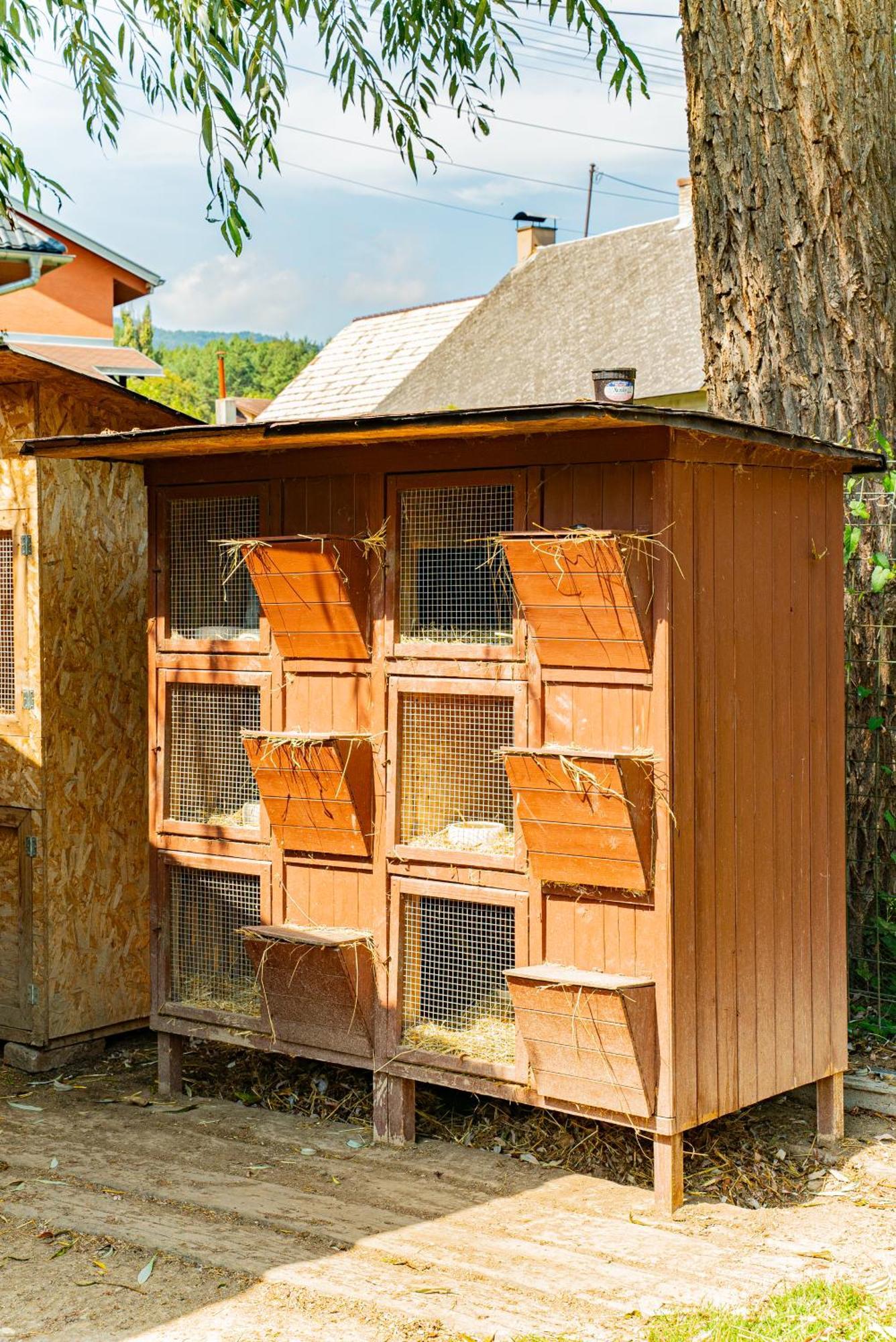 Farma Zelena Ruza Villa Klacno Ngoại thất bức ảnh